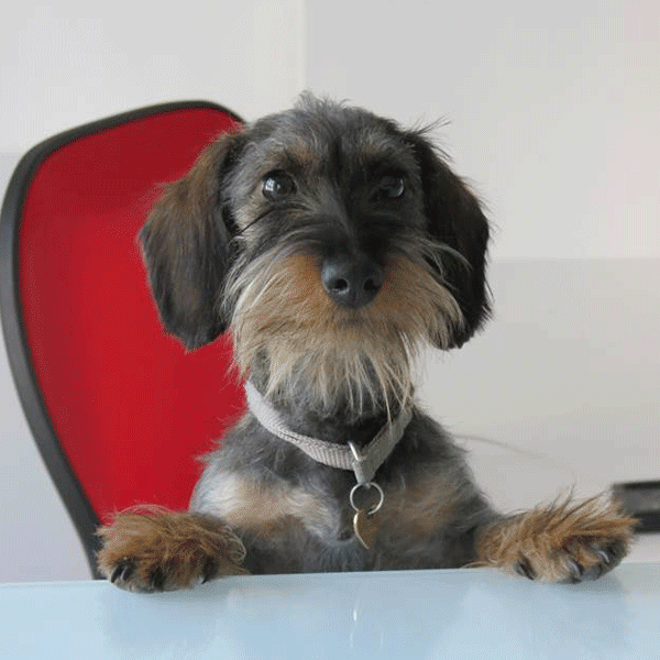 Coworking-Milano-Bicocca-Mascotte-1